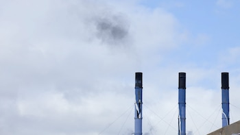 El fin del negacionismo sobre