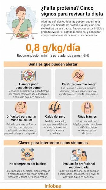 Infografía con un título sobre nutrición, la cifra de cero coma ocho gramos por kilo al día e ilustraciones de síntomas y consulta médica.