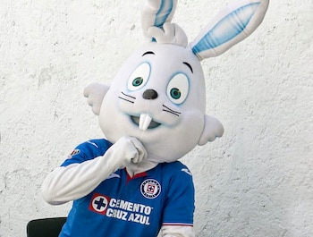 Blu, la liebre emblemática de