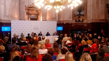 Avanza el proyecto de ley