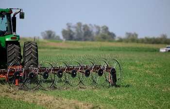 El desarrollo de una logística integrada entre transporte, puertos y producción aparece como una de las herramientas centrales para que las empresas de la región puedan aprovechar las nuevas configuraciones del comercio internacional (Foto: Shutterstock)