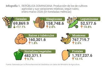 La producción de lechosa y guineo encabezó el crecimiento agropecuario, mientras el área sembrada y las exportaciones registraron fuertes variaciones en 2026.