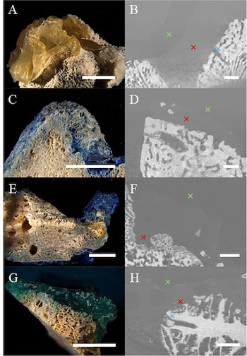 Paneles de la A a la H con fotografías de muestras porosas en color y sus escaneos en escala de grises con marcadores y barras de escala