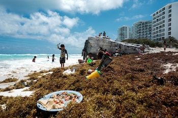 Turistas visitan una playa contaminada con algas sargazo en la playa Gaviota Azul en Cancún, México 3 de abril de 2022. REUTERS/Paola Chiomante/Archivo