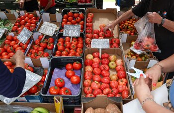 Imagen A3574VL55RAQXILDCUXWXHKRX4