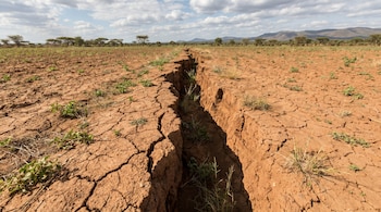 Fotografía en gran angular de una profunda grieta en un campo de tierra roja y agrietada en África Oriental, con vegetación dispersa, árboles y colinas.