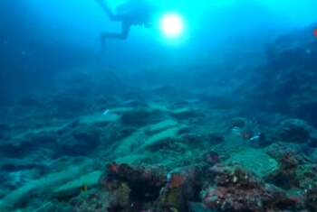Un buzo nada con una linterna encendida sobre un lecho rocoso e iluminado en el fondo marino