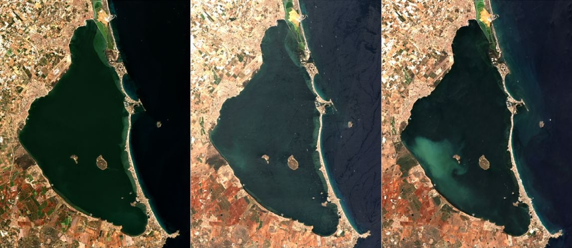 Una ‘mancha blanca’ en el Mar Menor está creando un desierto bajo el agua: están desapareciendo la vegetación y la fauna marina