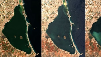 Una ‘mancha blanca’ en el Mar Menor está creando un desierto bajo el agua: están desapareciendo la vegetación y la fauna marina