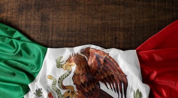 La palabra "neta" ha sido