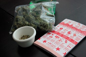 Un joven deberá realizar tareas comunitarias por intentar contrabandear semillas de marihuana por correo desde España (EFE)