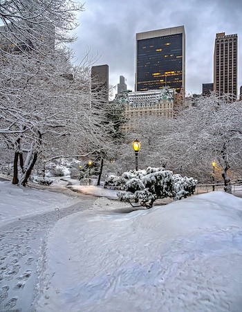 Los senderos nevados y los