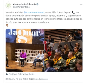 Ministerio de Ambiente anunció la