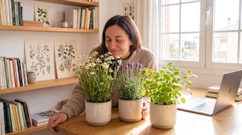 Una mujer huele tres plantas en macetas: manzanilla, lavanda y toronjil. Hay un estante con libros y grabados botánicos, y un portátil.