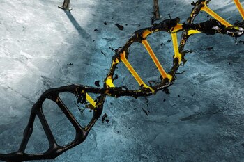 Expresiones genéticas determinadas podrían agravar