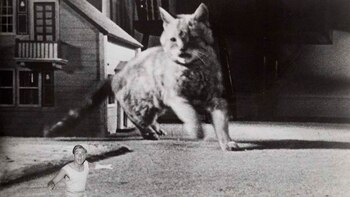 "El hombre increíble", de Jack