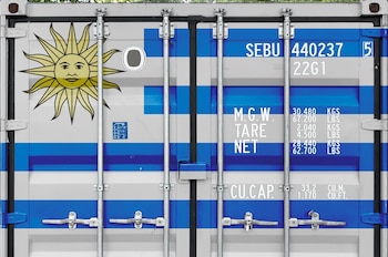 Las importaciones uruguayas de bienes,