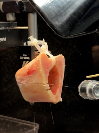 El próximo desafío es incrementar