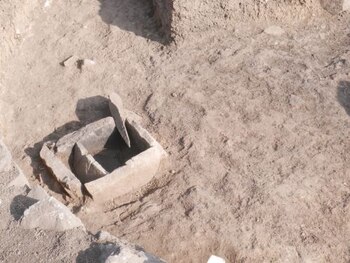 El descubrimiento de las siete