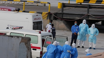 Posible caso de hantavirus dentro de España: un valenciano viajó con la mujer alemana fallecida en Johannesburgo
