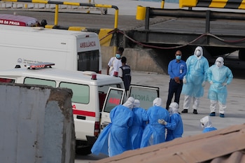 La variante Andes Sur, única cepa de hantavirus con transmisión de persona a persona, fue identificada en el foco del crucero MV Hondius (AP Foto/Misper Apawu)