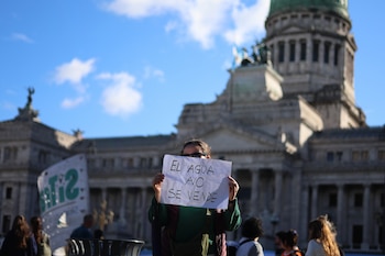Una persona sostiene un cartel duran una manifestación en contra de la reforma de la ley de glaciares en cercanías al Congreso en Buenos Aires (Argentina)
EFE/ Juan Ignacio Roncoroni