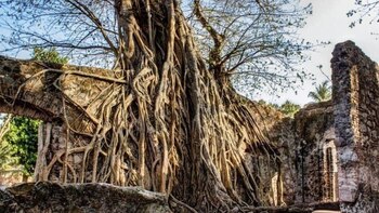 Hernán Cortés: así son las