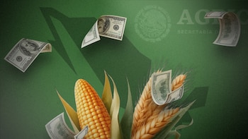 Acuerdo México-UE: Sheinbaum garantiza que