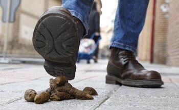 Un peatón, a punto de