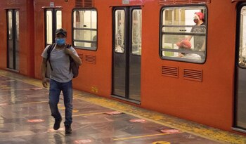Perrito en el metro