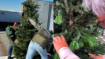 Profepa detecta plaga en embarque