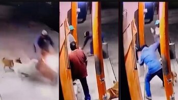 Cámaras de seguridad captaron el