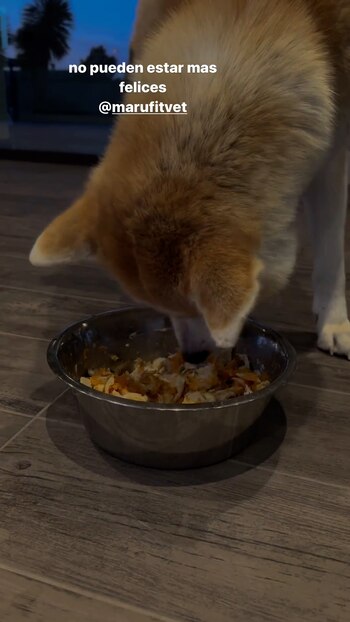 "No pueden estar más felices",