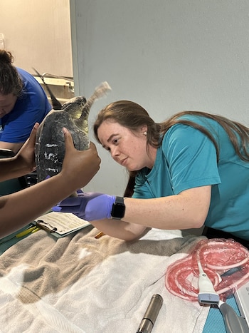 Un equipo de rescate en