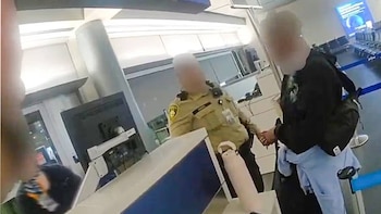 Un Goldendoodle es inspeccionado por