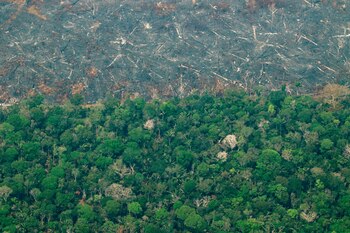Vista aérea de áreas deforestadas de la selva amazónica de Porto Velho, Rondonia (Brasil), en una fotografía de archivo. EFE/Joédson Alves
