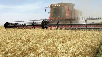 Máquina cosechadora