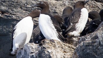 El precio del clima: una