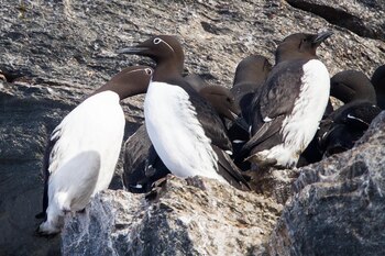 Según un estudio publicado en