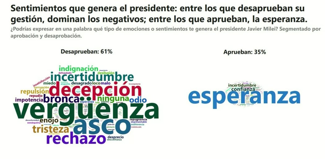 La desaprobación al Gobierno se expresó con palabras como decepción e incertidumbre, mientras la esperanza perdió peso entre quienes respaldaban a Javier Milei (Infobae en Vivo)