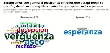 (Infobae en Vivo)
