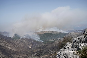 El humo se eleva cuando un incendio forestal arde cerca del pueblo de Loutses, en la isla de Corfú, Grecia