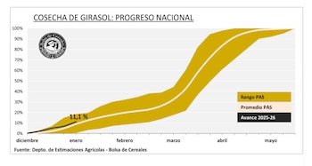 La cosecha de girasol ya
