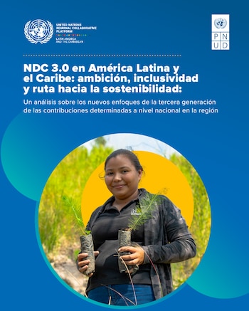 El informe del PNUD fue publicado recientemente y contempla diferentes áreas que han sido evaluadas en América Latina y el Caribe./ (PNUD El Salvador)