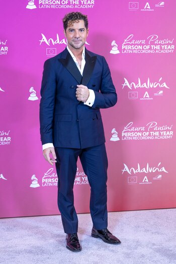 David Bisbal en el photocall