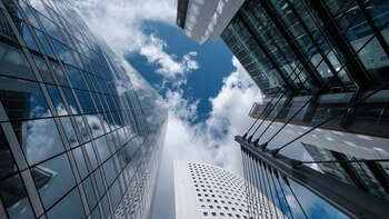 En la actualidad se encuentran