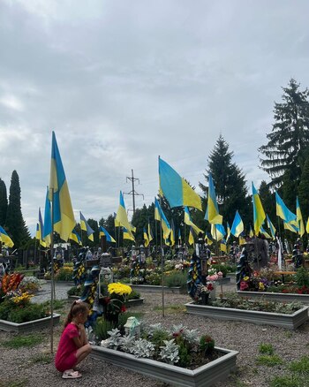 Rumania instó a la comunidad