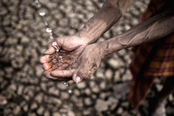 El estrés térmico afecta tanto