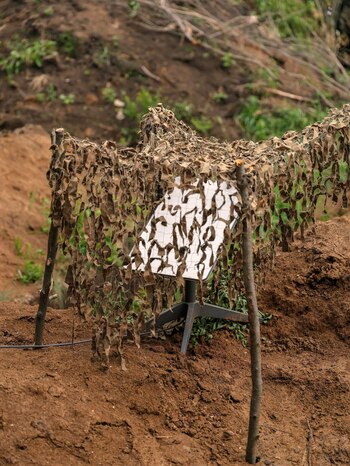 Un terminal Starlink camuflado con