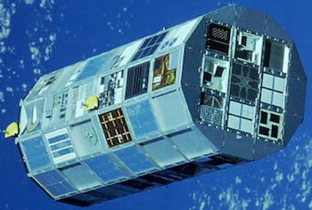 Los registros escolares mostraron que las semillas expuestas al espacio germinaron en un 73,8 por ciento frente al 70,3 por ciento de las terrestres (NASA)